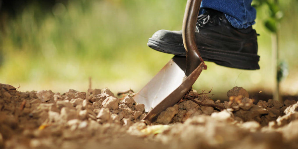 foot_on_shovel_digging_backyard